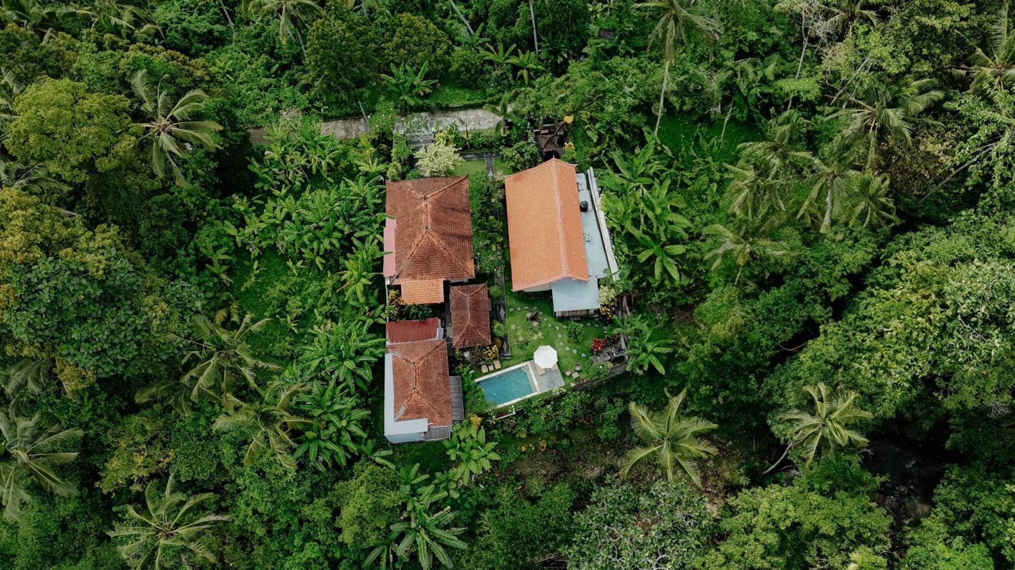 Campuhan Guesthouse Selemadeg 외부 사진